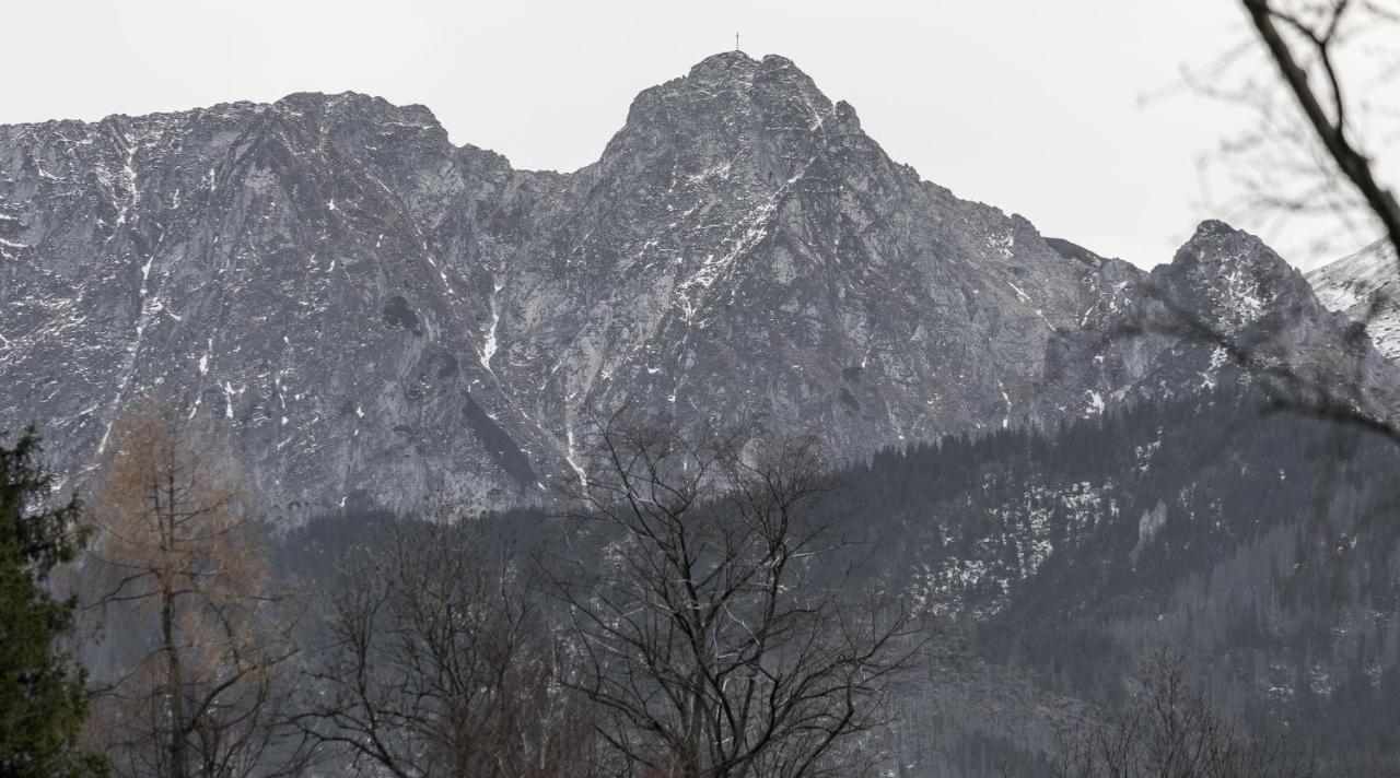 Twoja Chata Apartamenty Pod Niebem Zarezerwuj Na Podhalami Pl Koscielisko Exterior photo